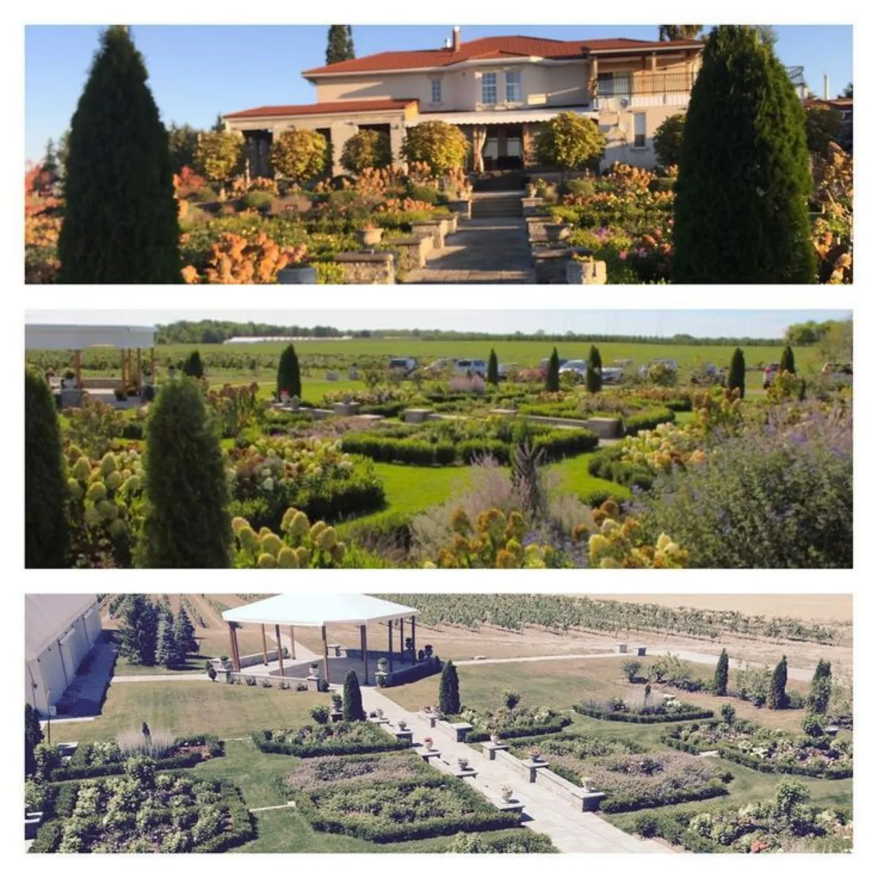 Commisso Estate Winery